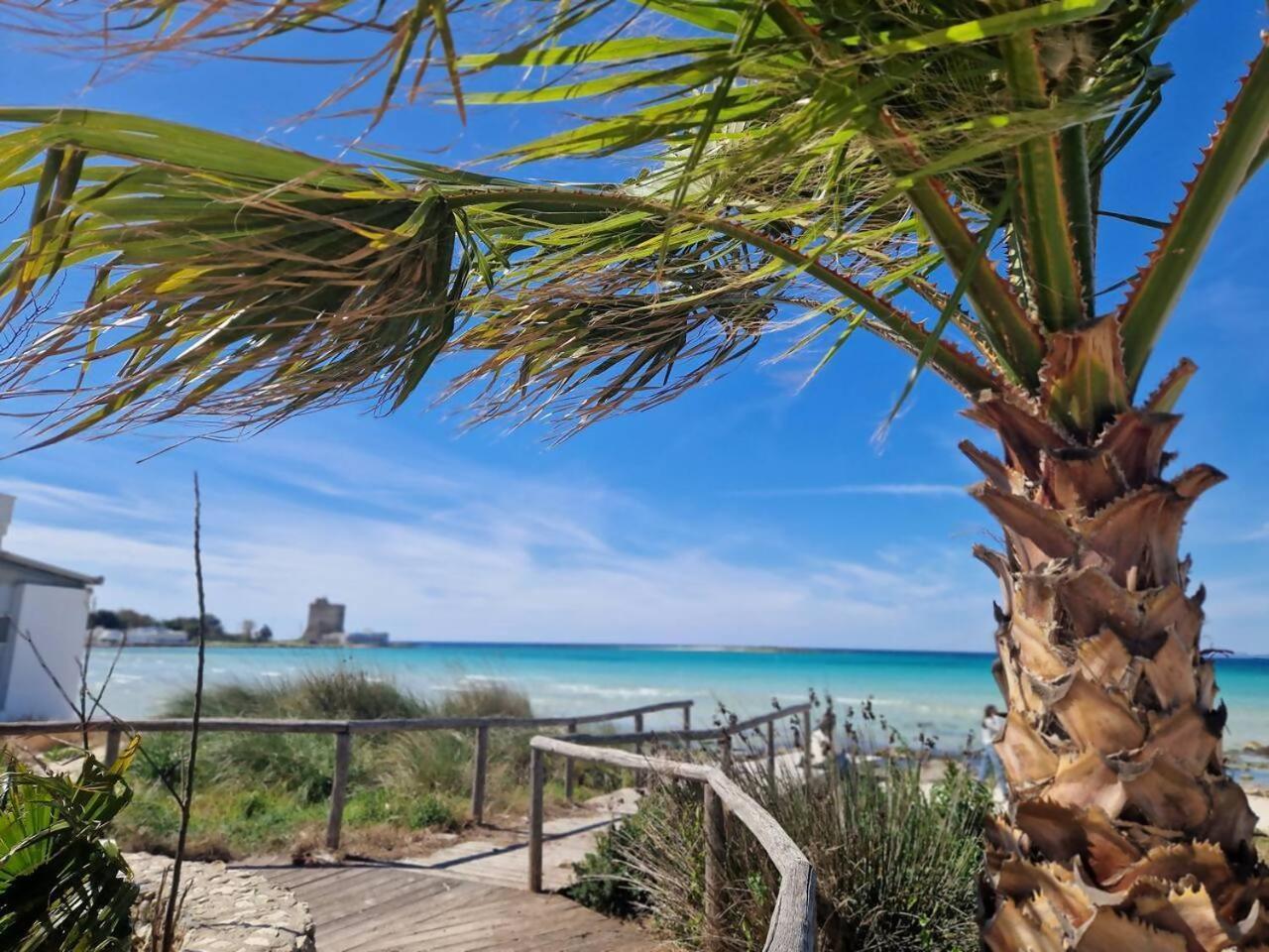 Villa Turchese Santisidoro Nordsudcasavacanza Torre Squillace 외부 사진